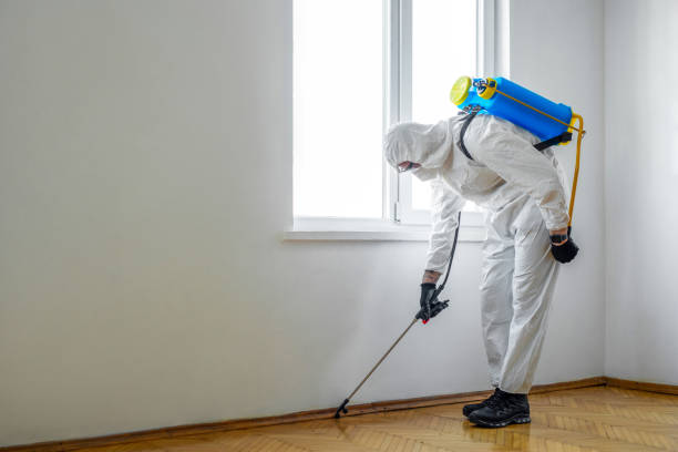 Best Pest Exclusion Services  in Huntington Station, NY